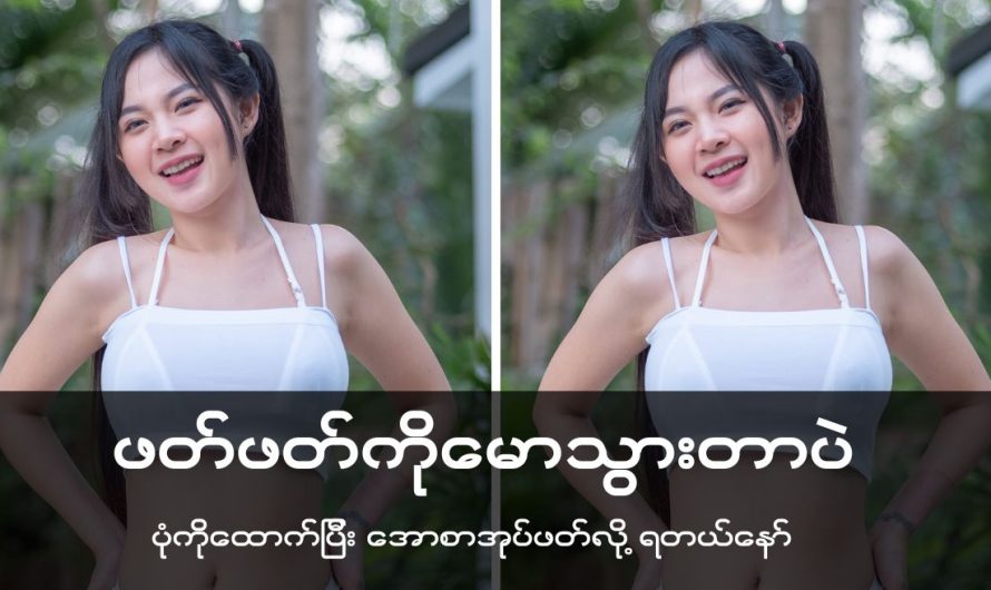 ဖက်ဖက်ကြီးကို မောသွားတာဘဲရှင် (စ/ဆုံး)